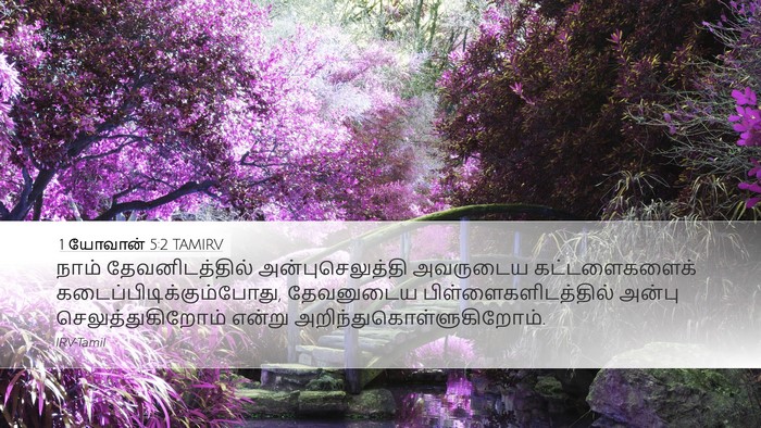 1 யோவான் 5:2 TAMIRV Bible Verse Image