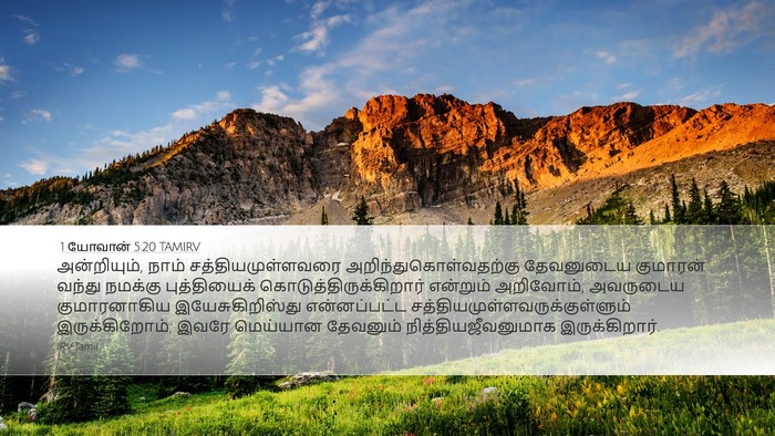 1 யோவான் 5:20 TAMIRV Bible Verse Image
