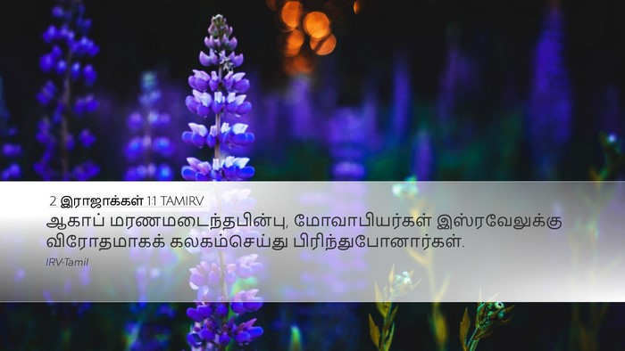 2 இராஜாக்கள் 1:1 TAMIRV Desktop Wallpaper - ஆகாப் - Desktop Bible Verse Wallpaper