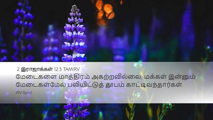 2 இராஜாக்கள் 12:3 TAMIRV Bible Verse Image
