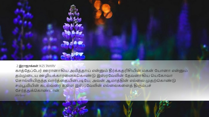 2 இராஜாக்கள் 14:25 TAMIRV Bible Verse Image