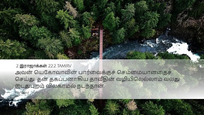 2 இராஜாக்கள் 22:2 TAMIRV Bible Verse Image