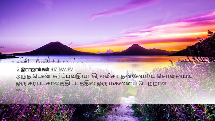 2 இராஜாக்கள் 4:17 TAMIRV Desktop Wallpaper - அந்த பெண் - Desktop Bible Verse Wallpaper