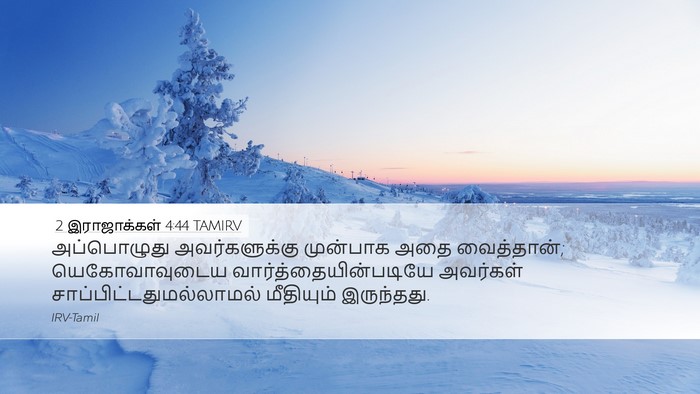 2 இராஜாக்கள் 4:44 TAMIRV Bible Verse Image