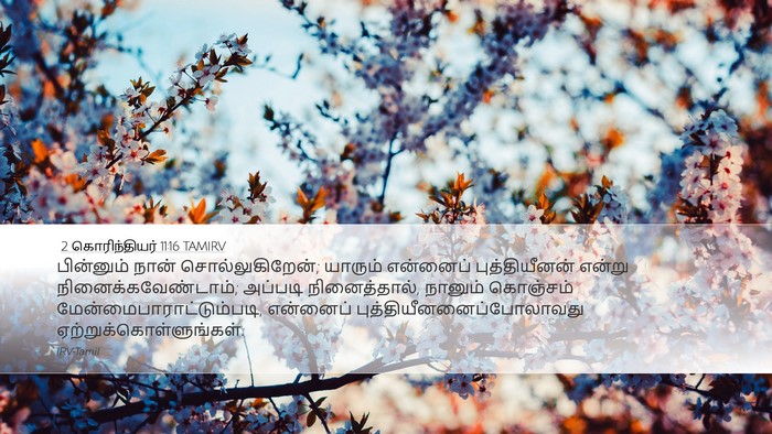 2 கொரிந்தியர் 11:16 TAMIRV Bible Verse Image