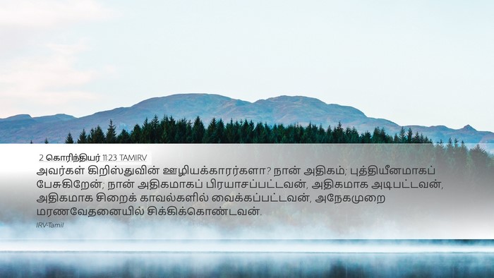 2 கொரிந்தியர் 11:23 TAMIRV Bible Verse Image