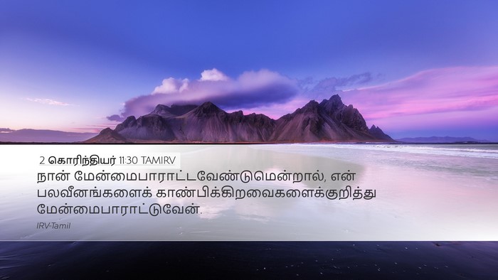 2 கொரிந்தியர் 11:30 TAMIRV Bible Verse Image