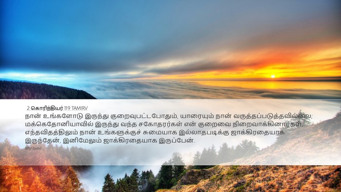 2 கொரிந்தியர் 11:9 TAMIRV Bible Verse Image