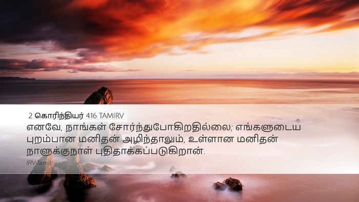 2 கொரிந்தியர் 4:16 TAMIRV Bible Verse Image