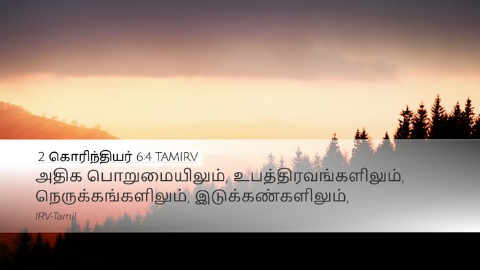 2 கொரிந்தியர் 6:4 TAMIRV Bible Verse Image
