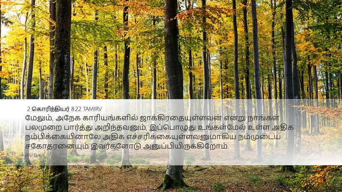 2 கொரிந்தியர் 8:22 TAMIRV Bible Verse Image