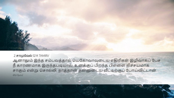 2 சாமுவேல் 12:14 TAMIRV Bible Verse Image