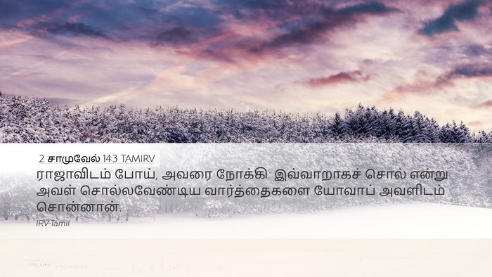 2 சாமுவேல் 14:3 TAMIRV Desktop Wallpaper - ராஜாவிடம் போய், - Desktop Bible Verse Wallpaper