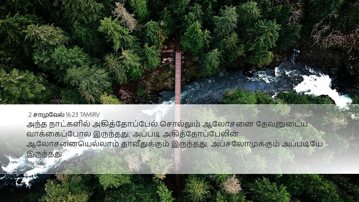 2 சாமுவேல் 16:23 TAMIRV Bible Verse Image