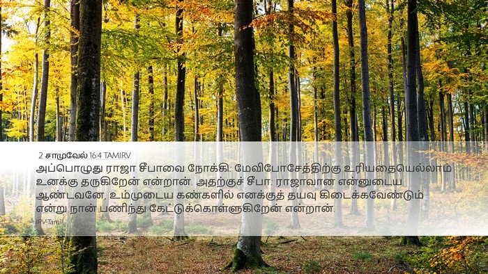 2 சாமுவேல் 16:4 TAMIRV Bible Verse Image