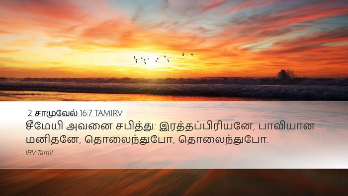 2 சாமுவேல் 16:7 TAMIRV Bible Verse Image