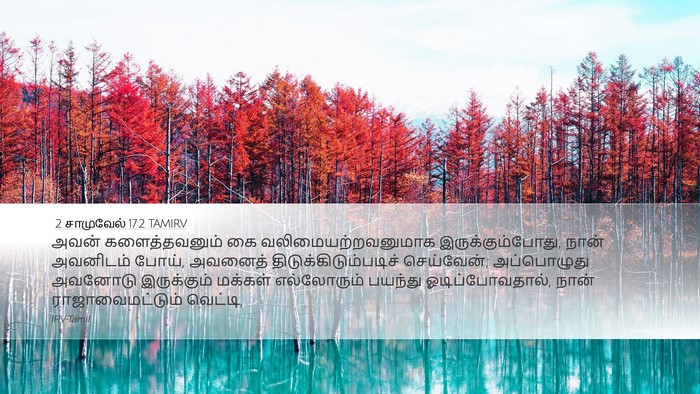2 சாமுவேல் 17:2 TAMIRV Bible Verse Image