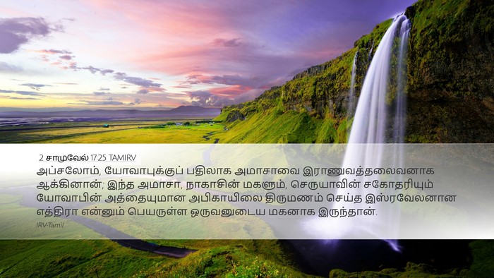 2 சாமுவேல் 17:25 TAMIRV Bible Verse Image