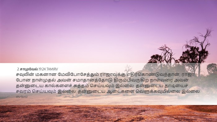 2 சாமுவேல் 19:24 TAMIRV Bible Verse Image