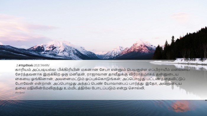 2 சாமுவேல் 20:21 TAMIRV Bible Verse Image