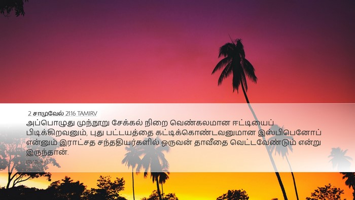 2 சாமுவேல் 21:16 TAMIRV Bible Verse Image