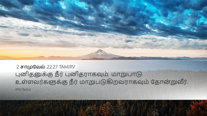 2 சாமுவேல் 22:27 TAMIRV Desktop Wallpaper - புனிதனுக்கு நீர் - Desktop Bible Verse Wallpaper