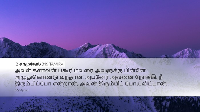 2 சாமுவேல் 3:16 TAMIRV Bible Verse Image