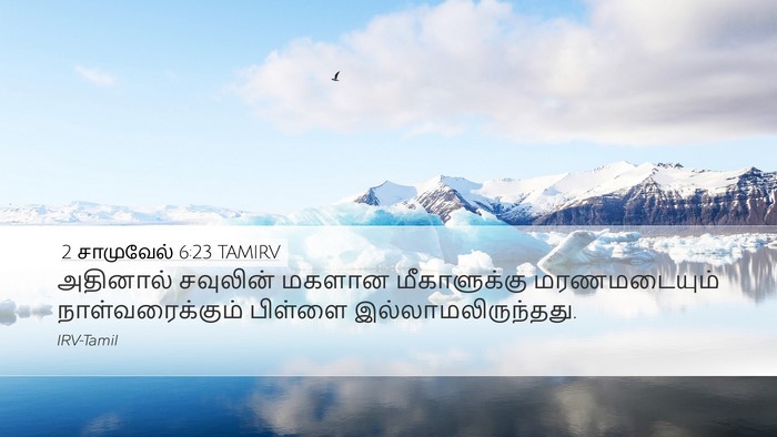 2 சாமுவேல் 6:23 TAMIRV Desktop Wallpaper - அதினால் சவுலின் - Desktop Bible Verse Wallpaper