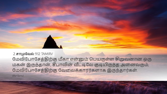 2 சாமுவேல் 9:12 TAMIRV Desktop Wallpaper - மேவிபோசேத்திற்கு - Desktop Bible Verse Wallpaper