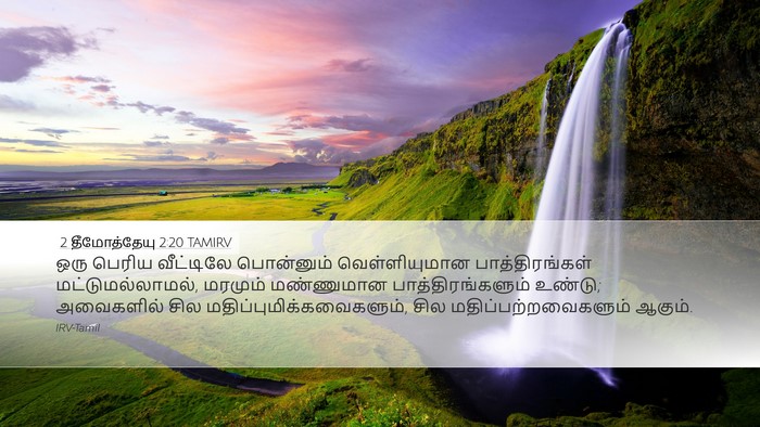 2 தீமோத்தேயு 2:20 TAMIRV Bible Verse Image
