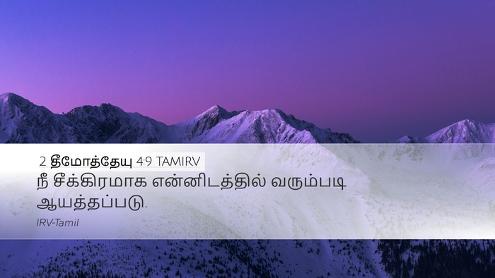 2 தீமோத்தேயு 4:9 TAMIRV Desktop Wallpaper - நீ சீக்கிரமாக - Desktop Bible Verse Wallpaper