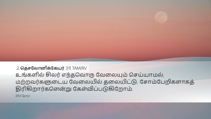 2 தெசலோனிக்கேயர் 3:11 TAMIRV Bible Verse Image