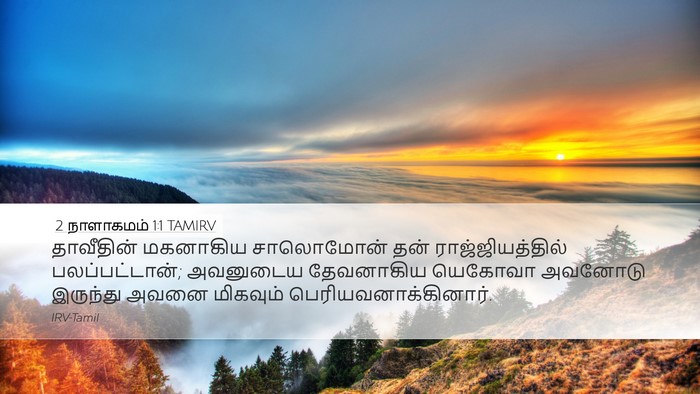 2 நாளாகமம் 1:1 TAMIRV Desktop Wallpaper - தாவீதின் மகனாகிய - Desktop Bible Verse Wallpaper
