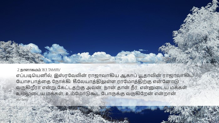 2 நாளாகமம் 18:3 TAMIRV Bible Verse Image