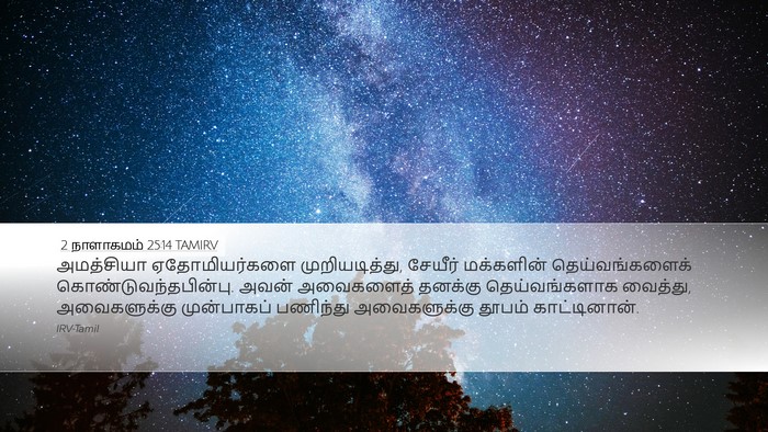 2 நாளாகமம் 25:14 TAMIRV Bible Verse Image