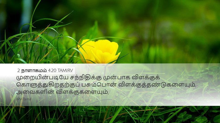 2 நாளாகமம் 4:20 TAMIRV Bible Verse Image
