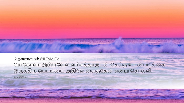 2 நாளாகமம் 6:11 TAMIRV Bible Verse Image
