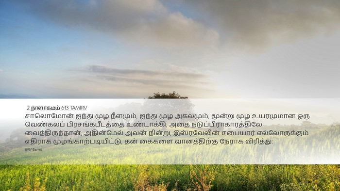 2 நாளாகமம் 6:13 TAMIRV Desktop Wallpaper - சாலொமோன் ஐந்து - Desktop Bible Verse Wallpaper