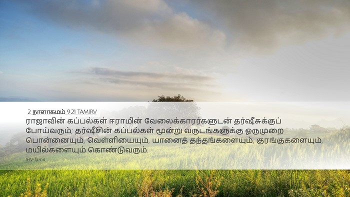 2 நாளாகமம் 9:21 TAMIRV Bible Verse Image