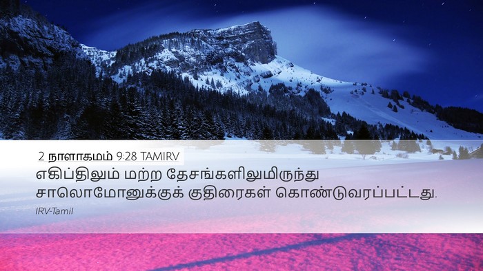 2 நாளாகமம் 9:28 TAMIRV Bible Verse Image