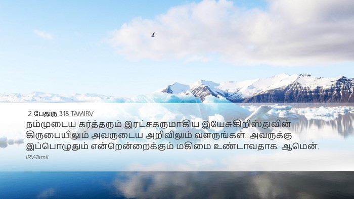 2 பேதுரு 3:18 TAMIRV Bible Verse Image