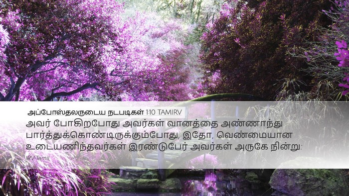 அப்போஸ்தலருடைய நடபடிகள் 1:10 TAMIRV Bible Verse Image