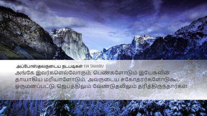அப்போஸ்தலருடைய நடபடிகள் 1:14 TAMIRV Bible Verse Image
