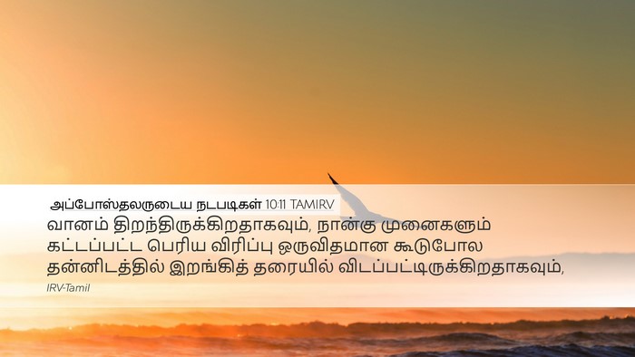 அப்போஸ்தலருடைய நடபடிகள் 10:11 TAMIRV Bible Verse Image
