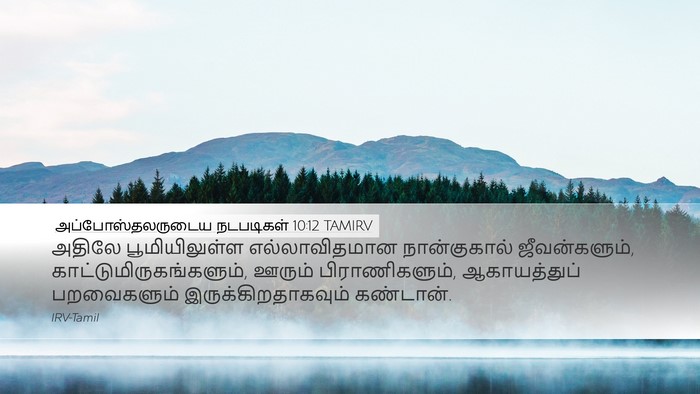 அப்போஸ்தலருடைய நடபடிகள் 10:12 TAMIRV Bible Verse Image