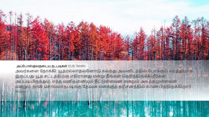 அப்போஸ்தலருடைய நடபடிகள் 10:28 TAMIRV Bible Verse Image