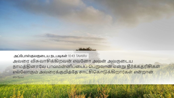 அப்போஸ்தலருடைய நடபடிகள் 10:43 TAMIRV Bible Verse Image