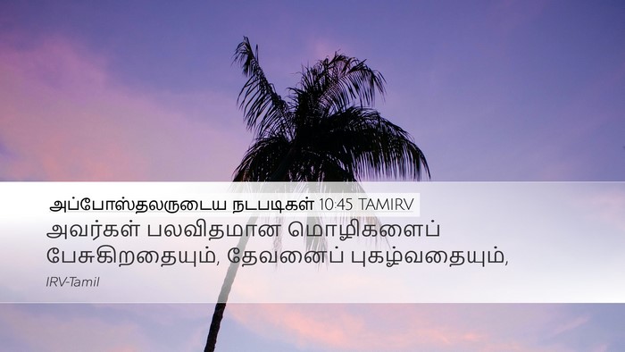 அப்போஸ்தலருடைய நடபடிகள் 10:45 TAMIRV Bible Verse Image
