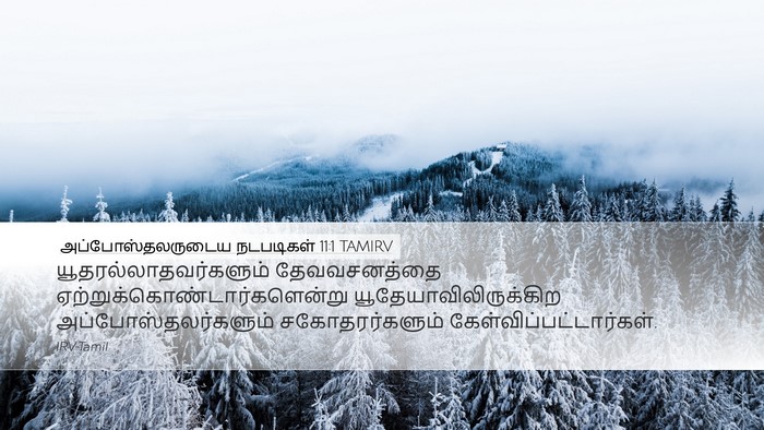 அப்போஸ்தலருடைய நடபடிகள் 11:1 TAMIRV Bible Verse Image