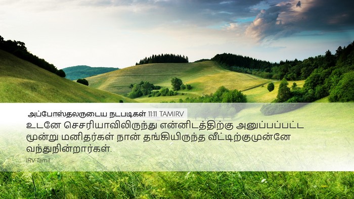 அப்போஸ்தலருடைய நடபடிகள் 11:11 TAMIRV Bible Verse Image